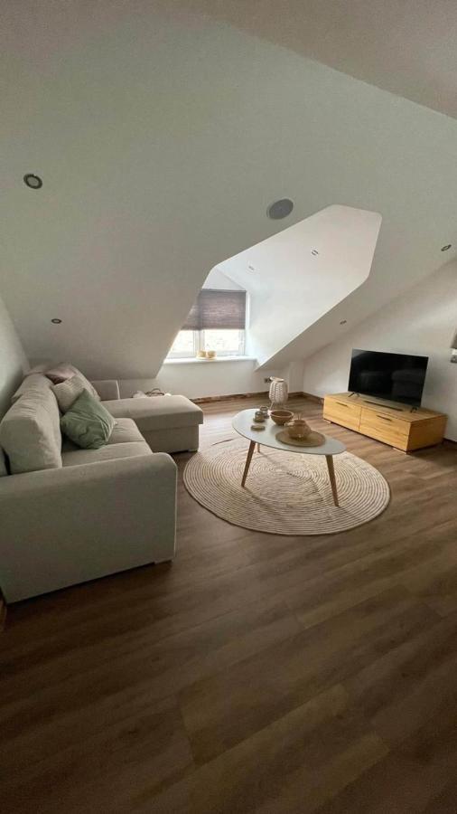 Hallo Maastricht B&B Fientje Екстериор снимка