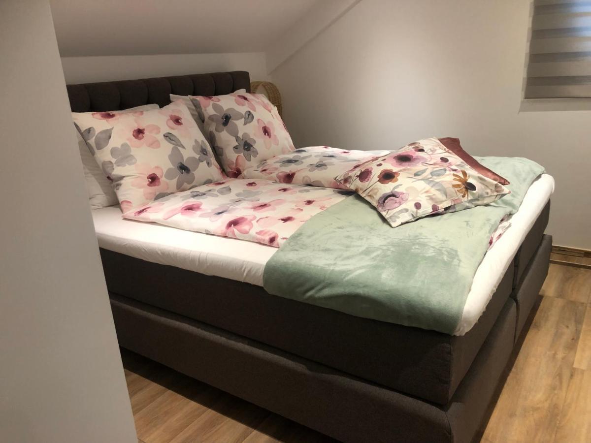 Hallo Maastricht B&B Fientje Екстериор снимка