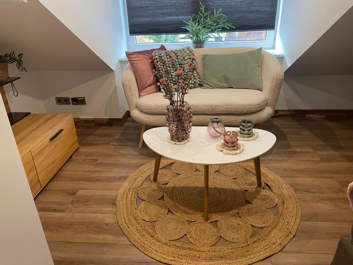 Hallo Maastricht B&B Fientje Екстериор снимка